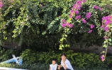 云南省西双版纳景洪市望江苑