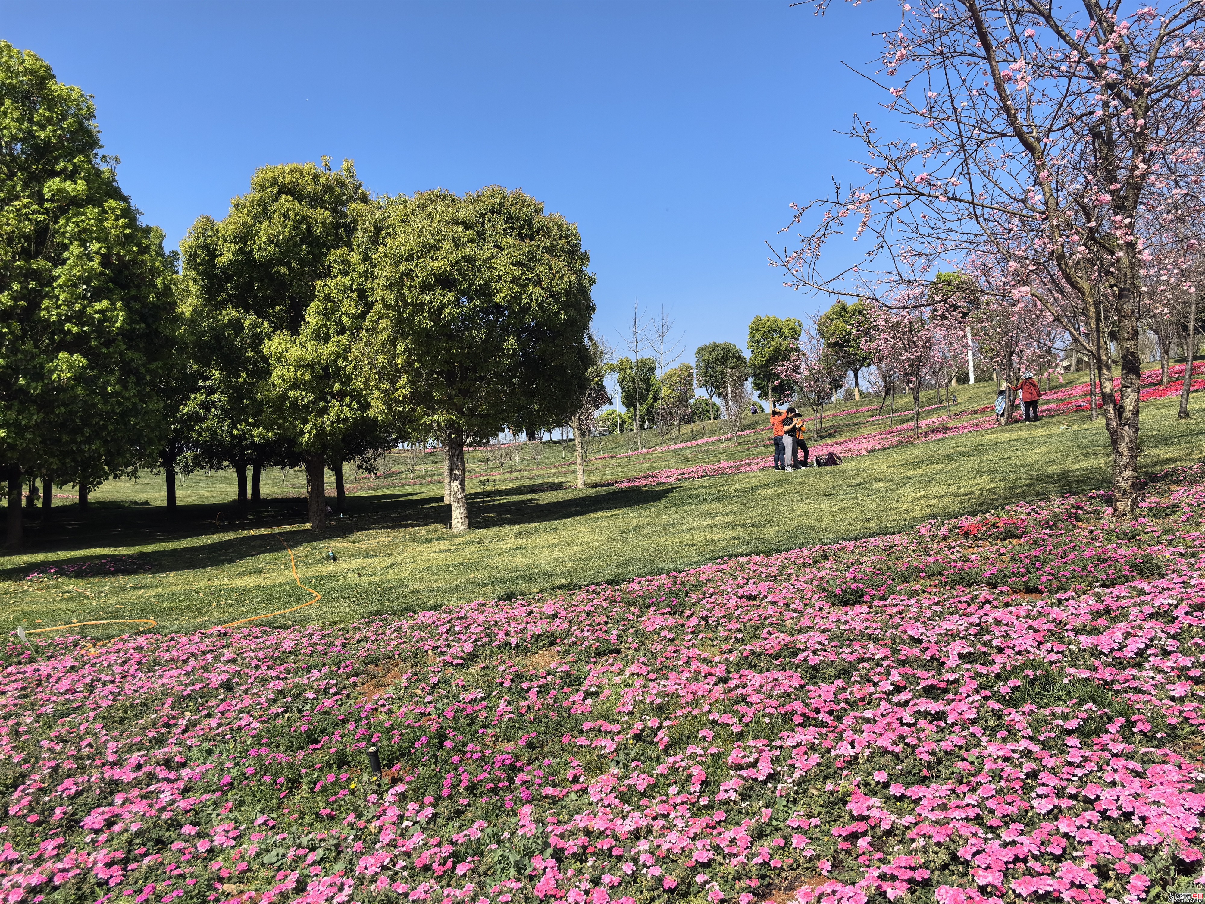 IMG_20240307_110910.jpg