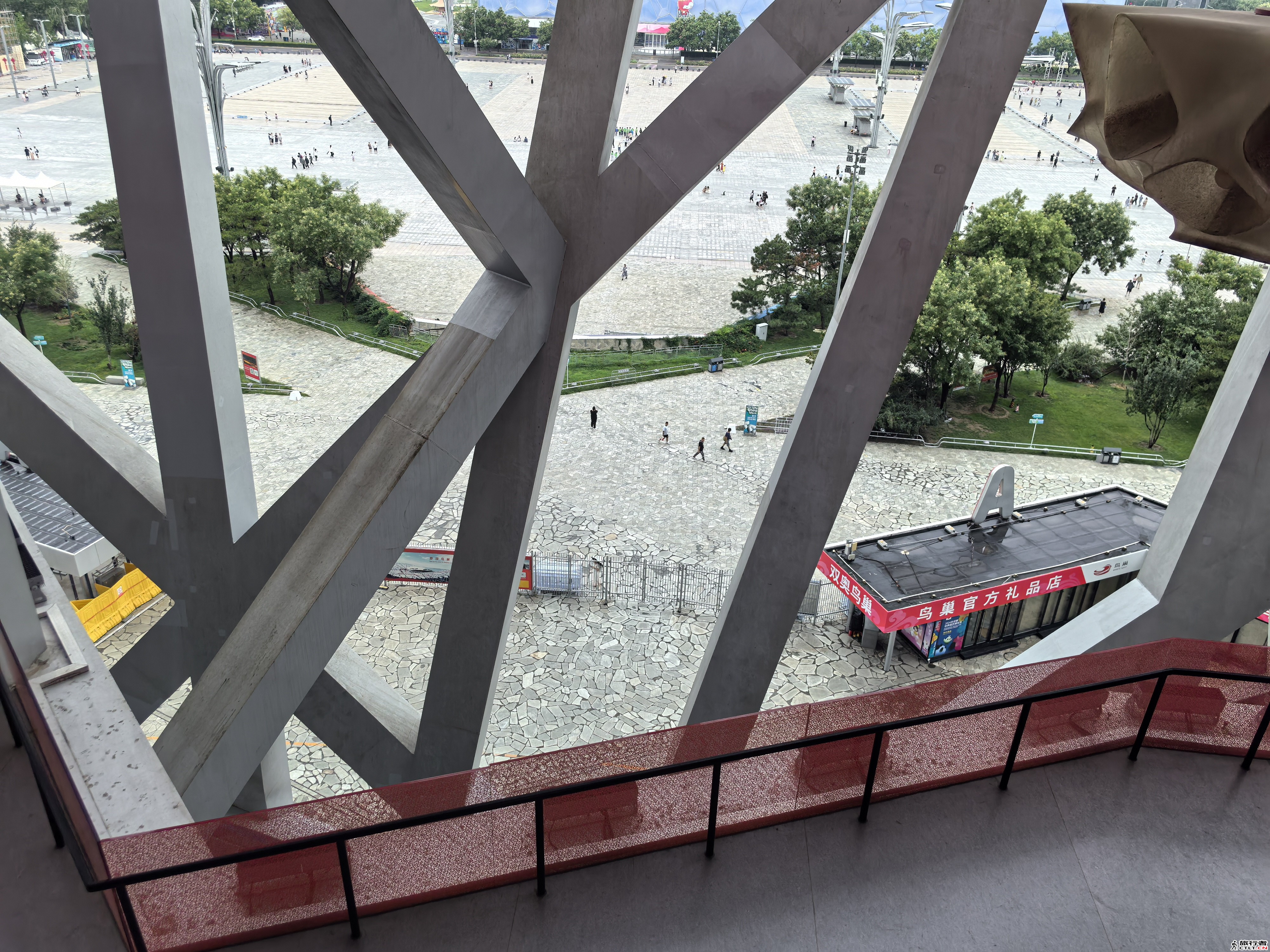 IMG_20240725_111442.jpg