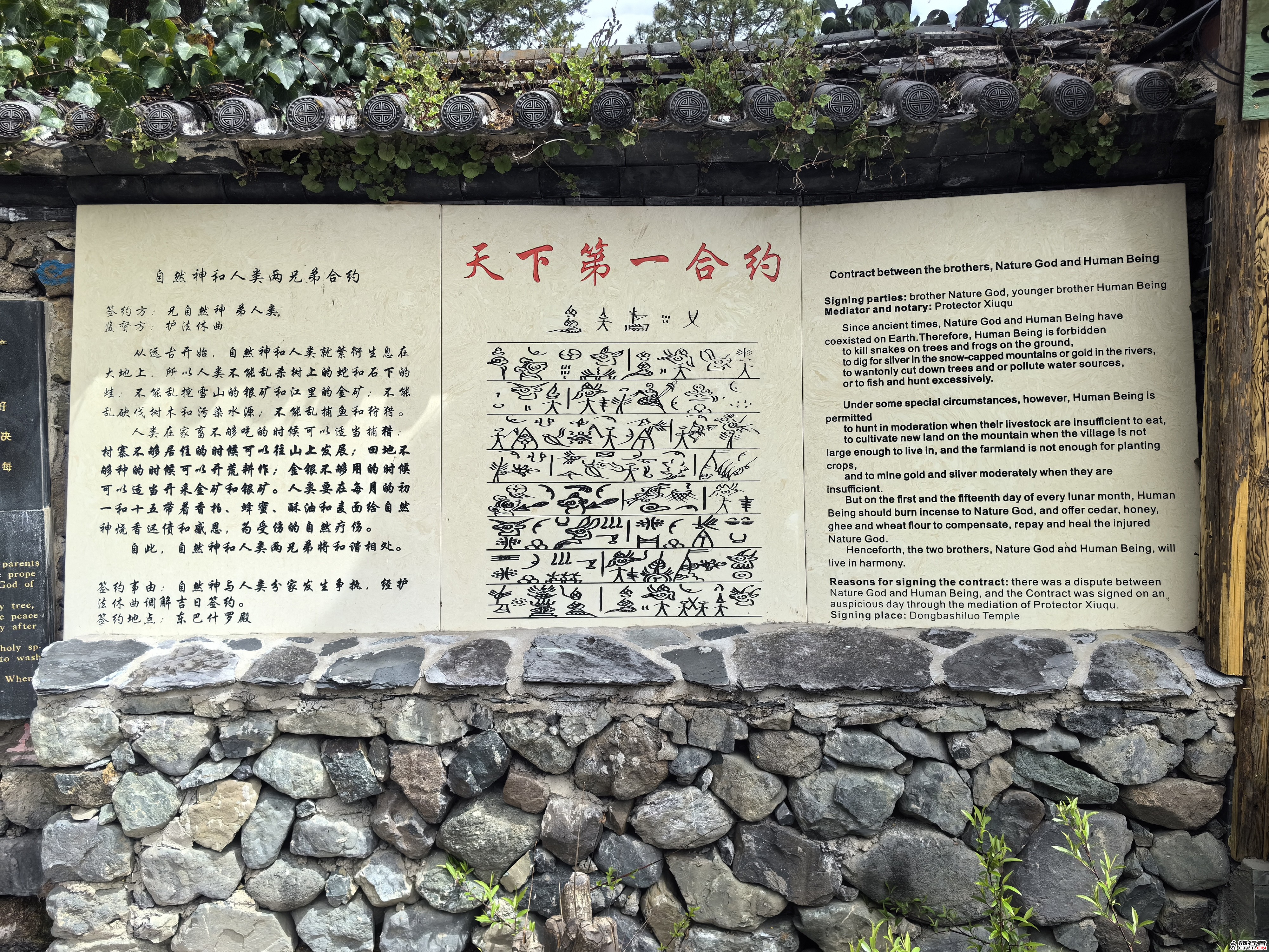 IMG_20240324_122954.jpg