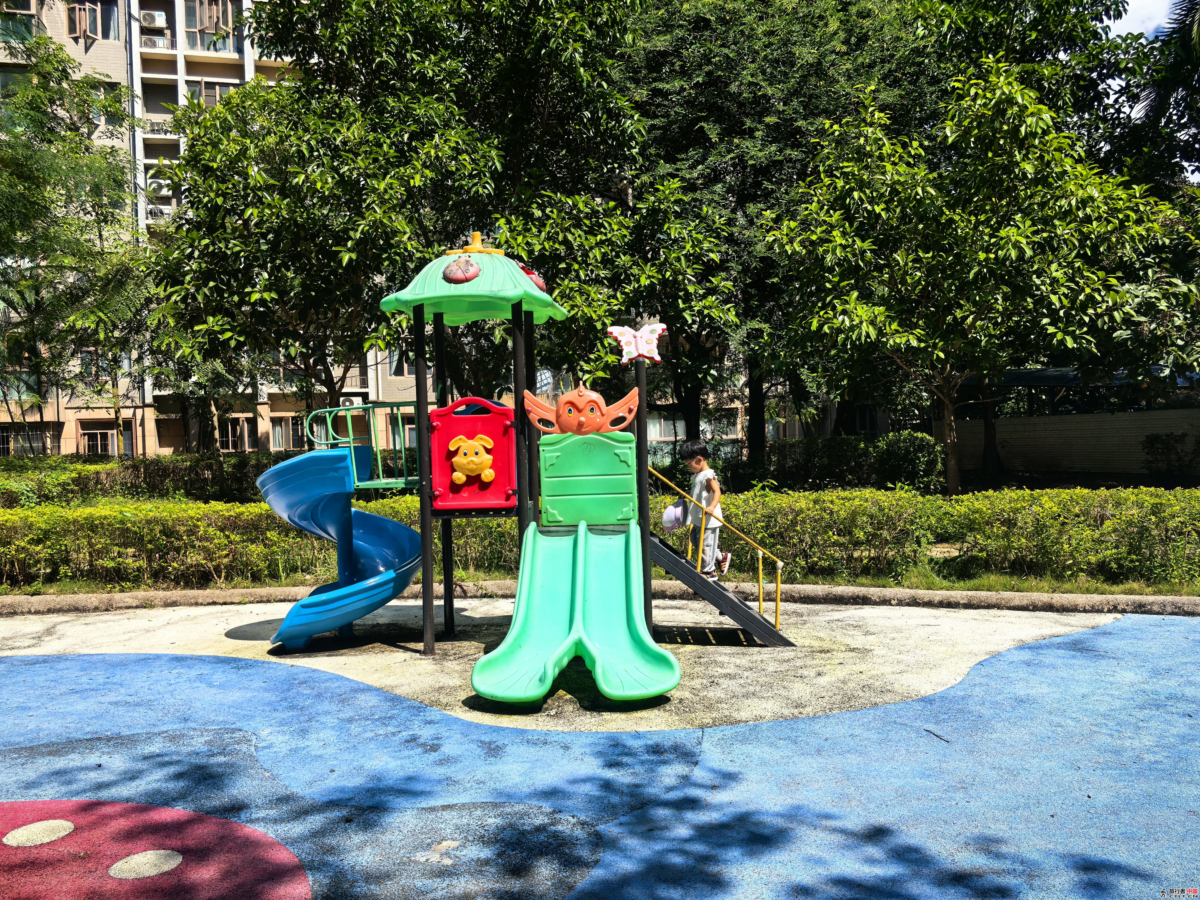 IMG_20251010_120807.jpg