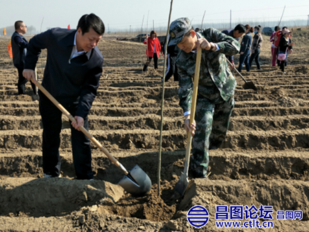 昌图县大四家子镇：干群共建绿水青山 播种绿色正能量.png