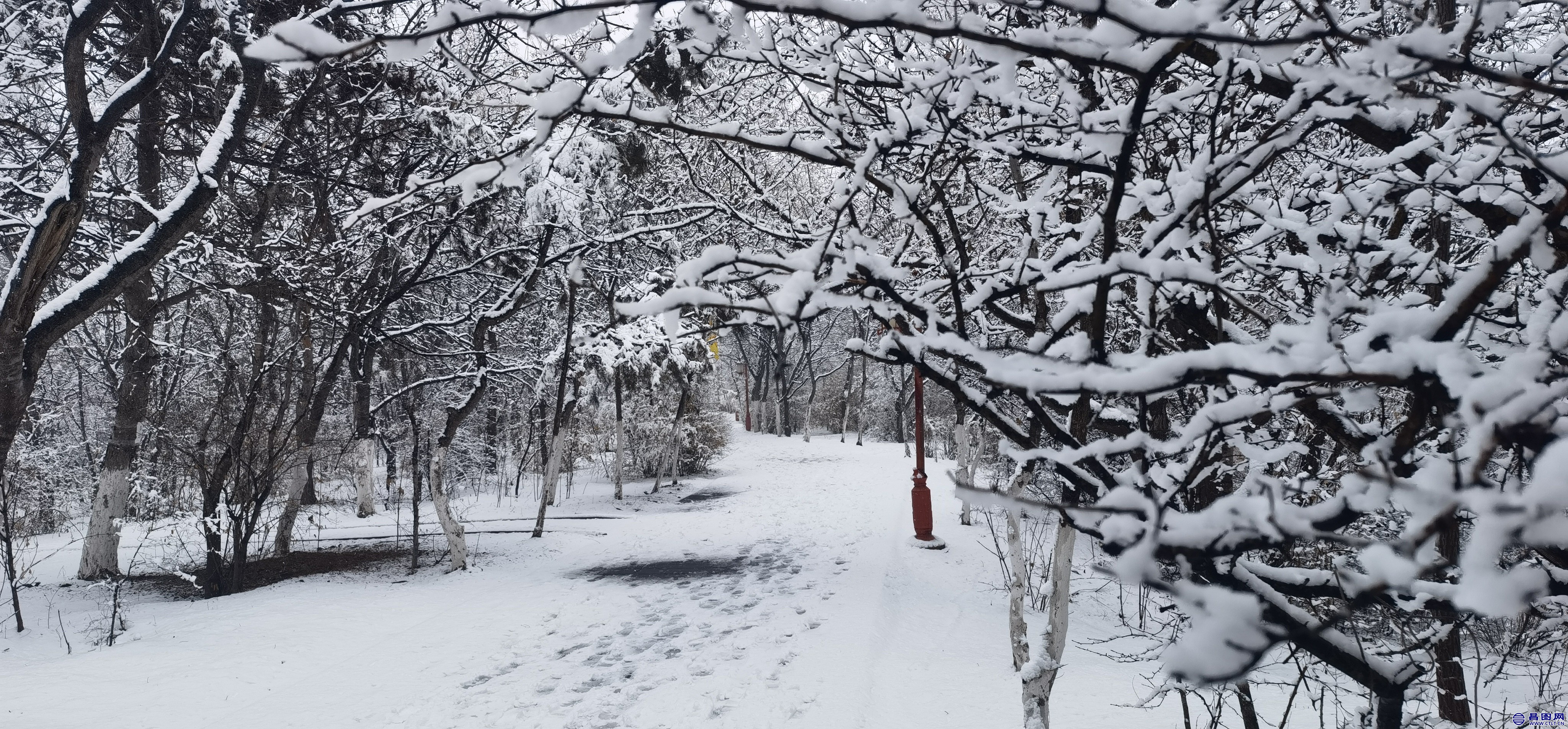 昌图您好-106 昌图2022.03.14的雪景