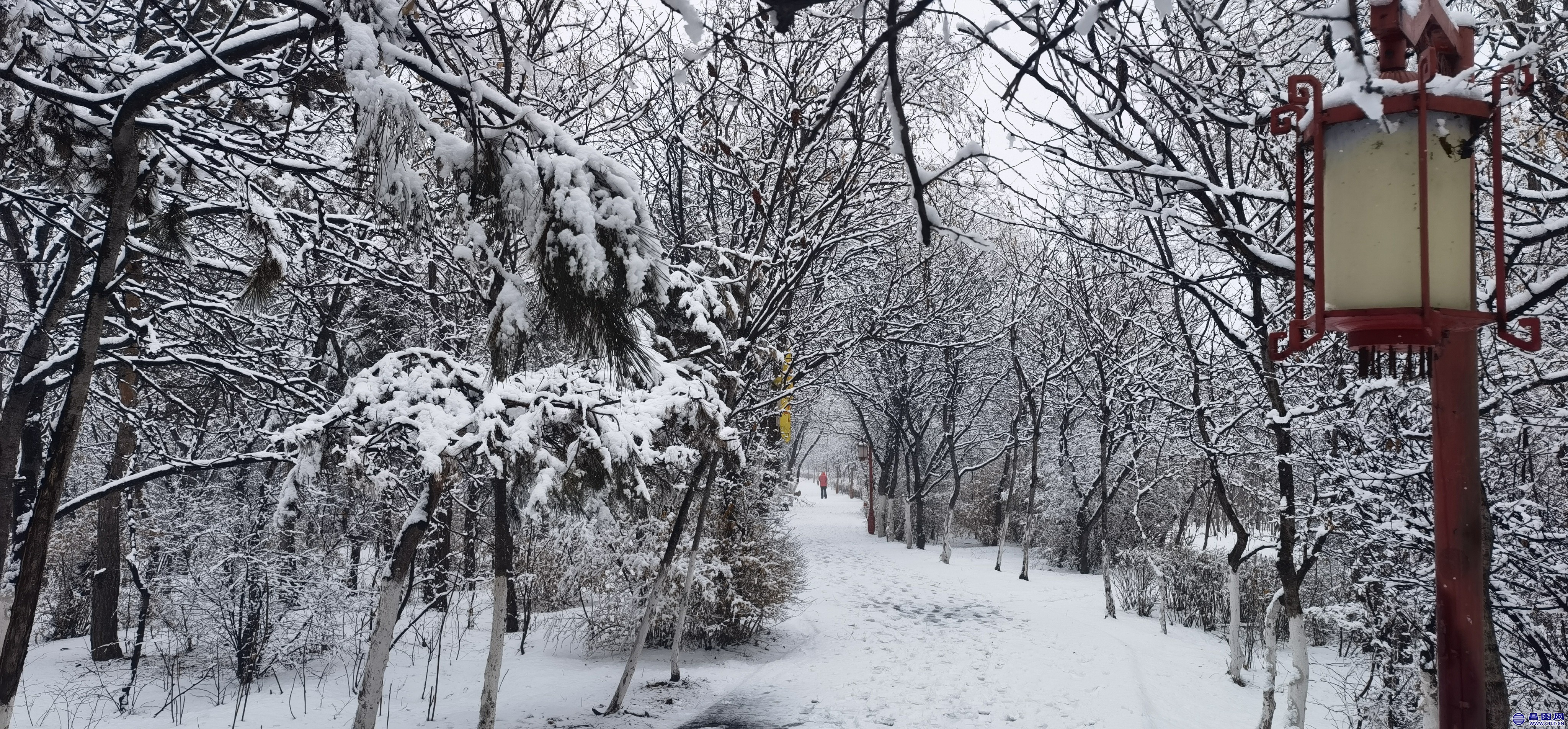 昌图您好-106 昌图2022.03.14的雪景