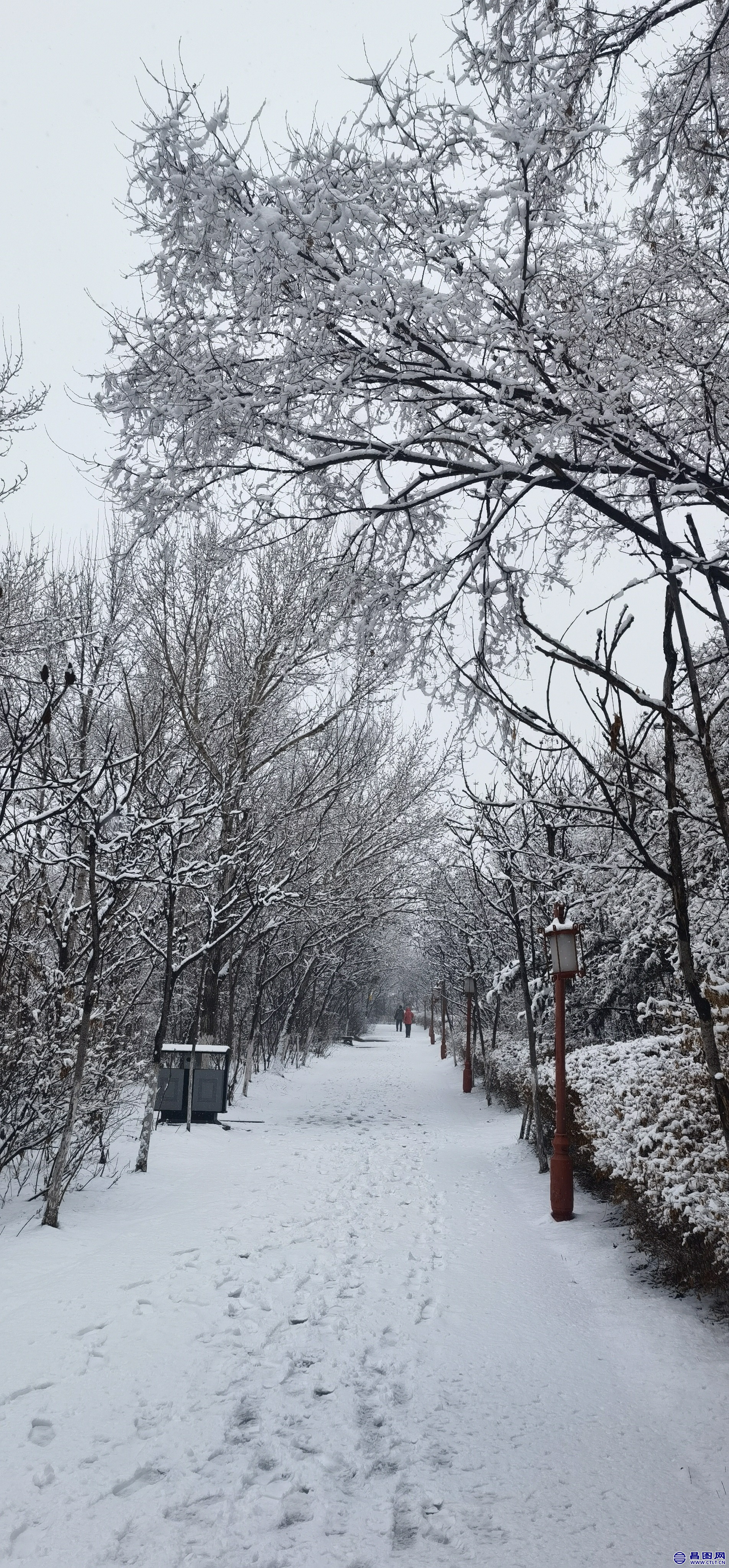 昌图您好-106 昌图2022.03.14的雪景