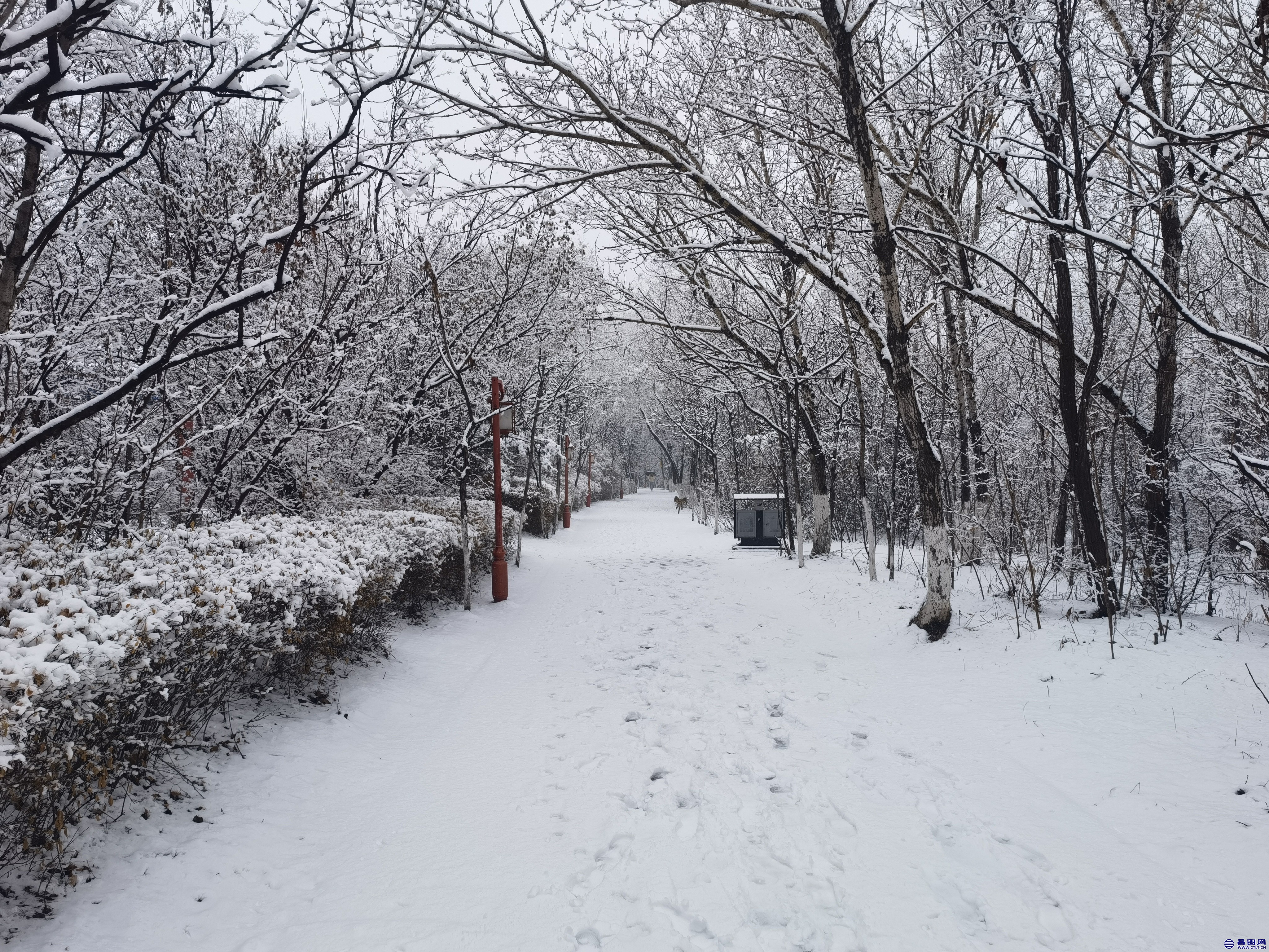 昌图您好-106 昌图2022.03.14的雪景