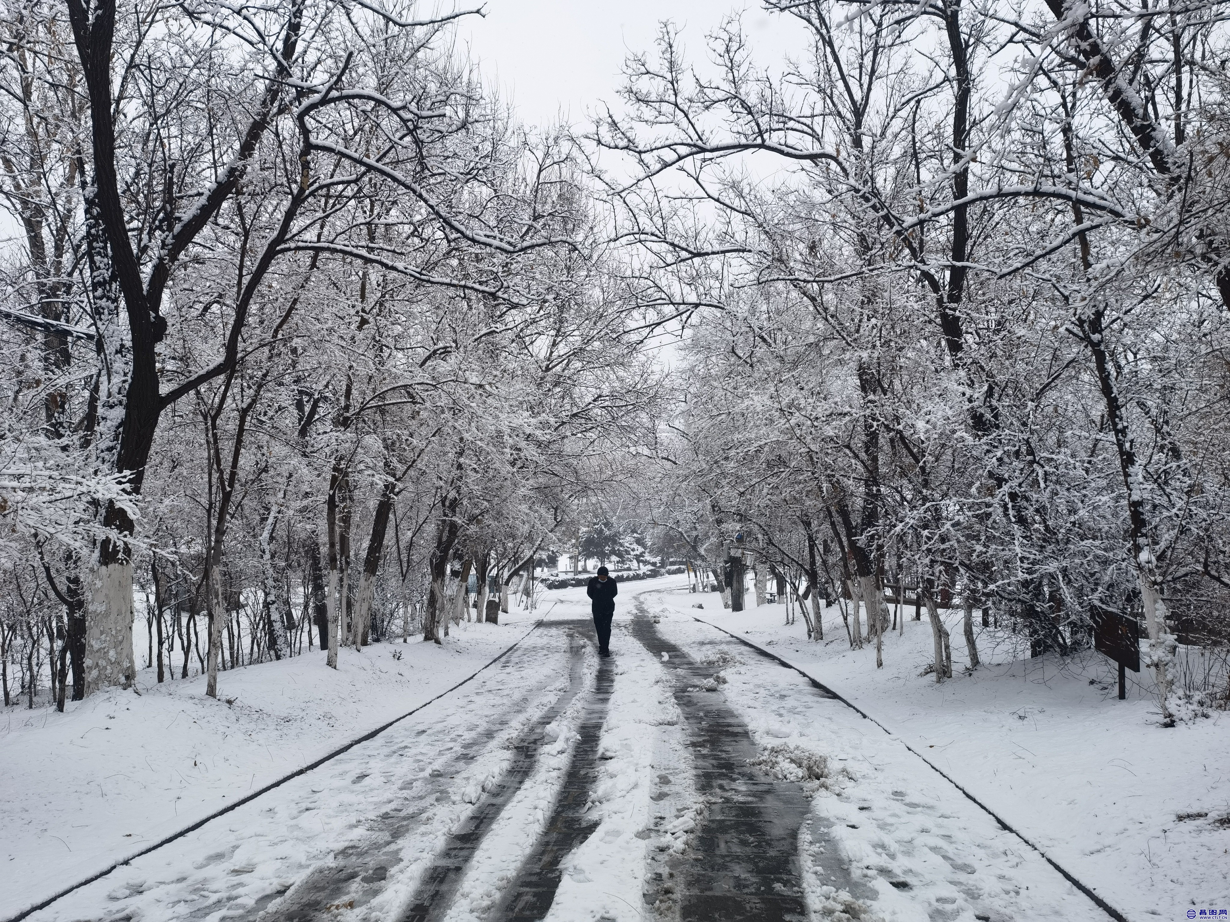 昌图您好-106 昌图2022.03.14的雪景