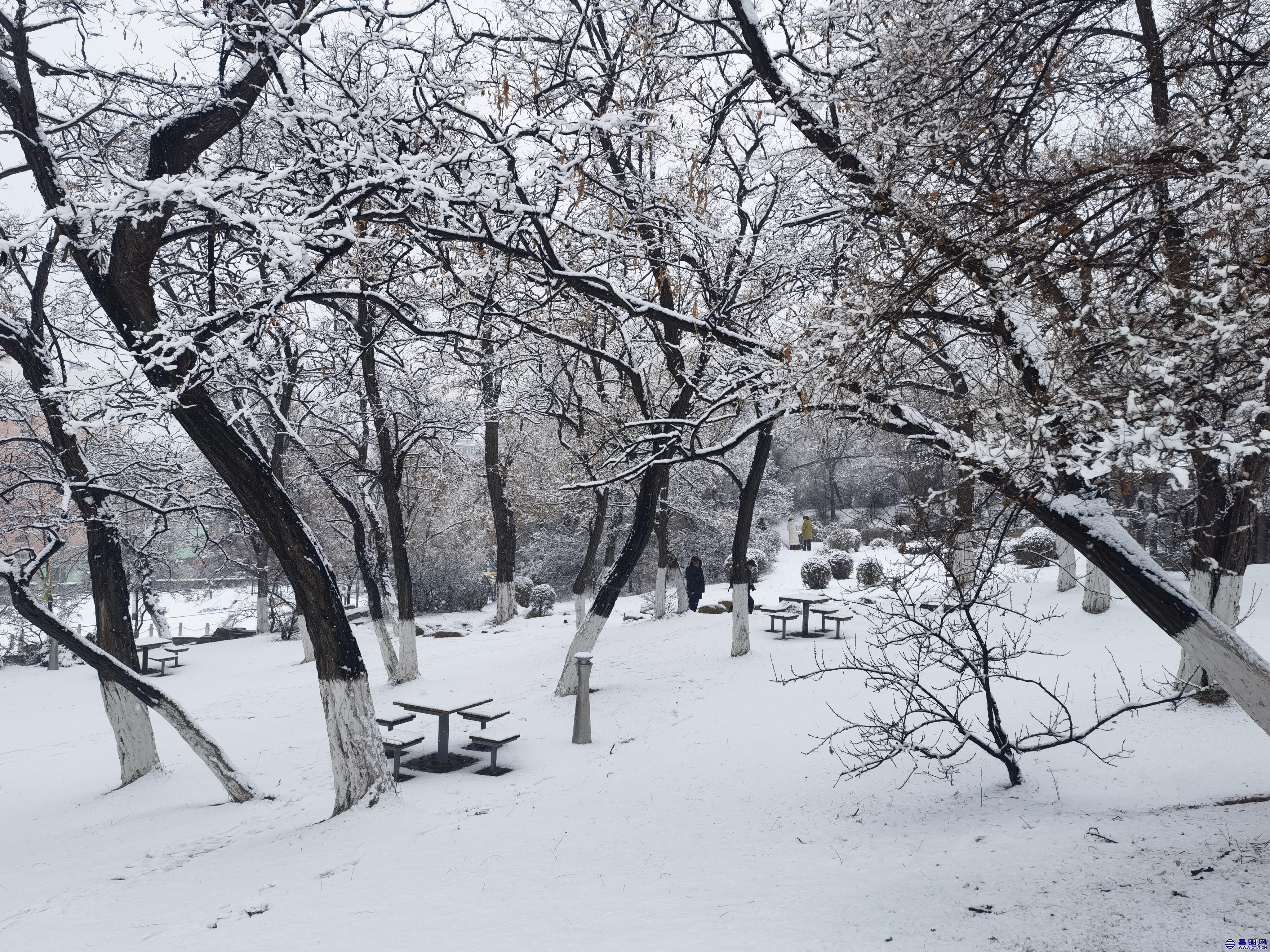 昌图您好-106 昌图2022.03.14的雪景