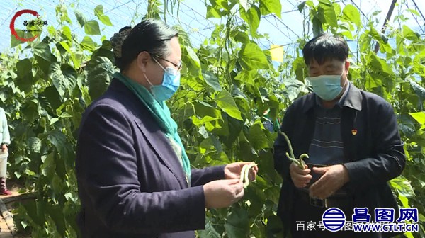 辽宁昌图：铁岭市人大助力昌图县农产品销售-2.jpg