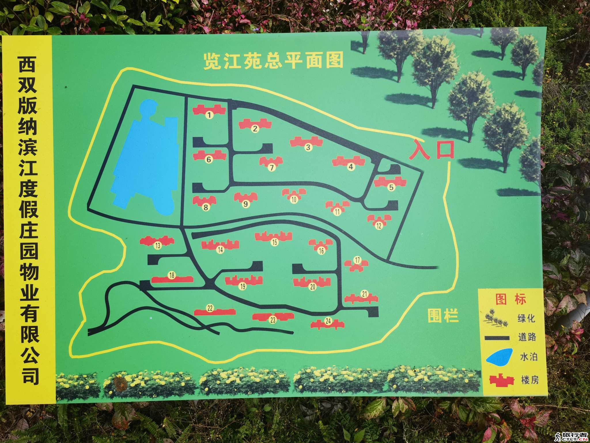 wuji_1745016813731.jpeg