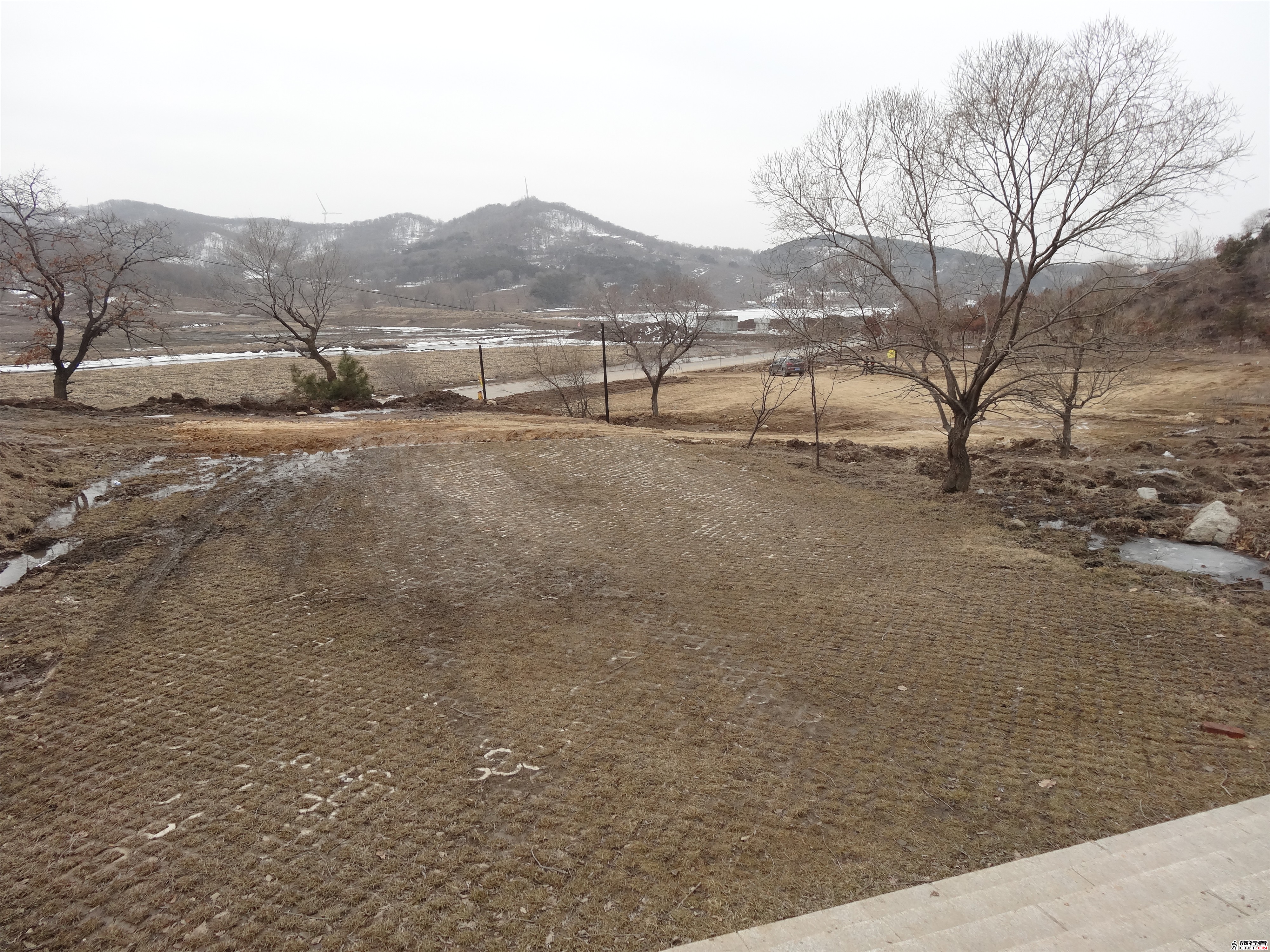 DSC00274.jpg